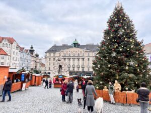 Brno Christmas market, Huge Christmas tree on the right side of the picture and the beautiful Czech architecture I the background. Christmas markets to the left with pretty lights and lots of people.