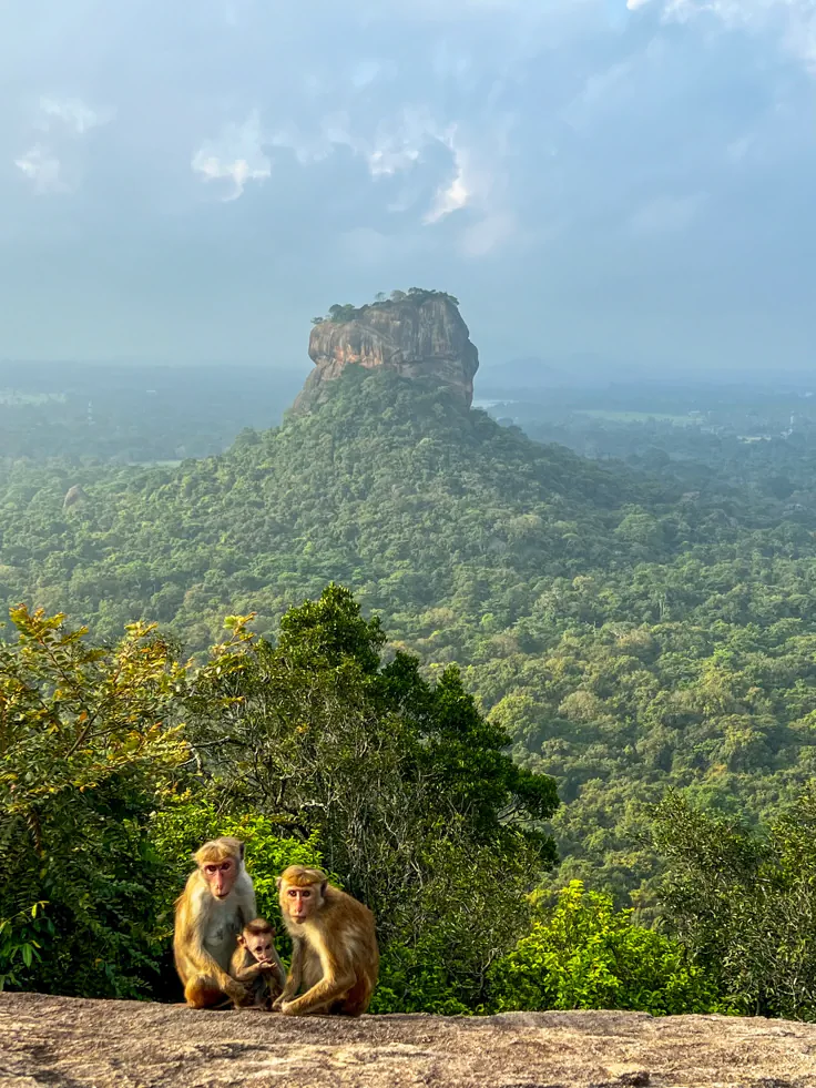 Srilanka